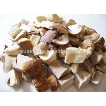 Sell boletus edulis, frozen boletus edulis